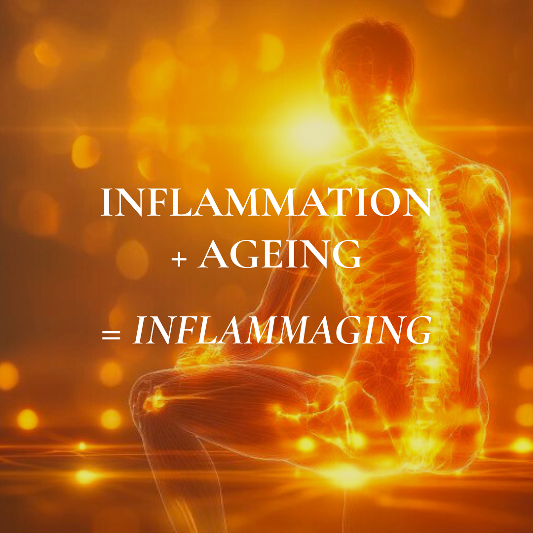 Inflammaging: The Hidden Link Between Inflammation & Ageing